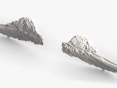 Angel Wings 3D model get