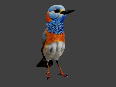 Bird Animal Low-poly 3D model