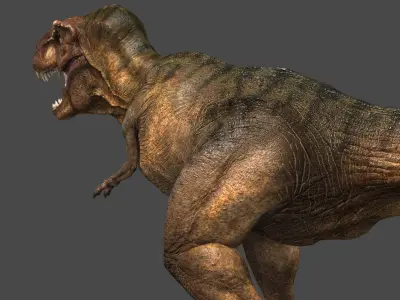 Tyrannosaurus  Rex 3D model
