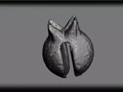 fishing split shot sinker 3D model