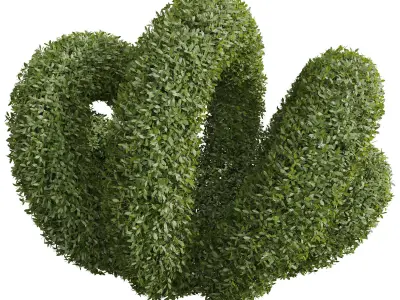 New Plant Ligustrum Quihoui Privet Pruned02 3D model