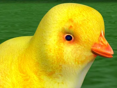 Chick bird 3D print model