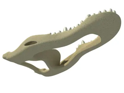 Crocodile jaw 3 3D model