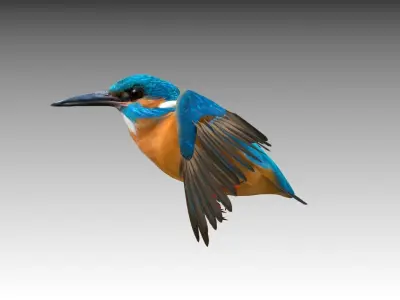 Kingfisher Low-poly 3D model