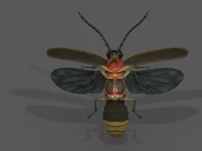 Firefly beetle 3D model