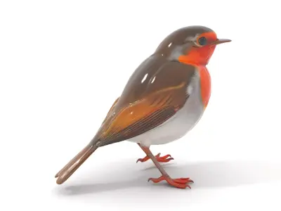 Vibrant Robin Bird model pack Low-poly 3D model