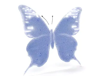 Vibrant Butterfly Wings model pack Low-poly 3D model