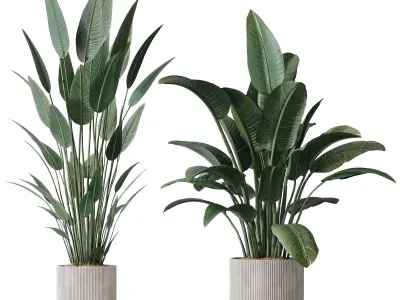 HQ Plants Bird Of ParadiseBird Vase Set01 3D model