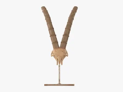 Animal antelope skull statuette Free 3D model
