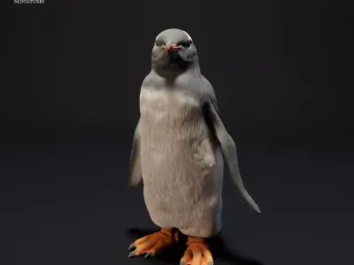 Gentoo Penguin Free 3D print model