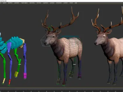 Realistic Elk Rigged 3D model