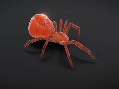 23 complete animated spiders Low-poly 3D model
