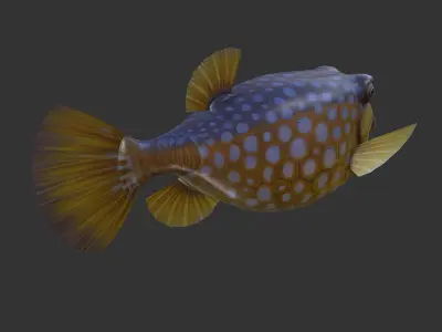 Bo Hom  Low-poly 3D model