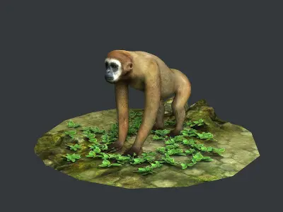 Gibbons apes omnivores apes mammals 3D model