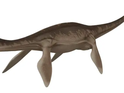 Thalassomedon 3D model