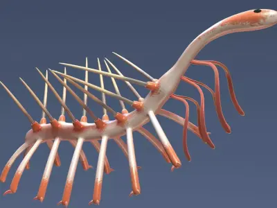hallucigenia 3D model