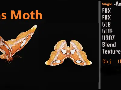 Atlas Moth Butterfly Low-poly 3D model