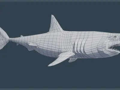 Animated Great White Shark Low-poly 3D model