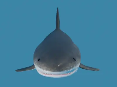 Shark - Tubarao Low-poly 3D model