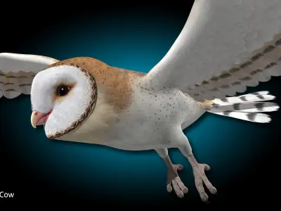 Barn Owl - Flight 3D model