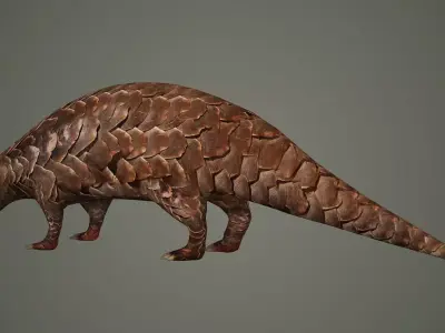 mammal african maya pangolin asian asia animal 3D model