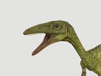 Compy Low-poly 3D model