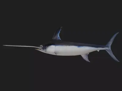 Swordfish Low-poly 3D model