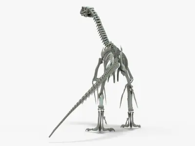 Therizinosaurus Rigged Skeleton Low-poly 3D model