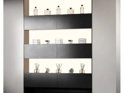 Display rack Built-in niche shelves with continuous lighting 3D model