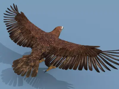 Pro Eagle - 8k - 3d animated 3D model