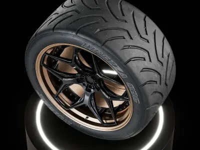 Dunlop Direzza DZ03G 295 30 R18 Revamped 3D model