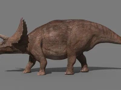Triceratops Tribute - 8K 3D model