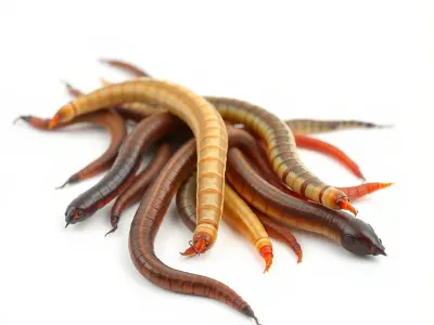 Realistic Centipede Model Pack with PBR Textures Low-poly 3D model