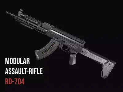 Modular assault rifle Rifle Dynamics 704 AK system Low-poly 3D model
