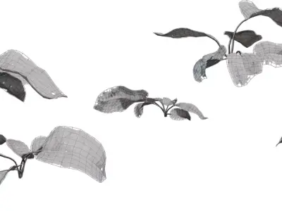Broadleaf Ground Plant Sprig Pack Low-poly 3D model