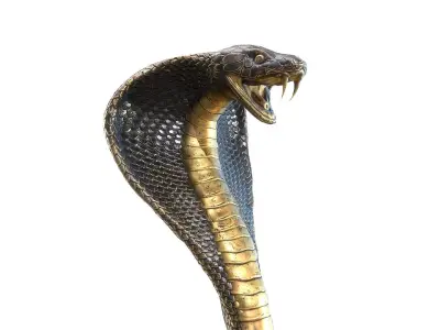 Snake Cobra Sculpture 3D model