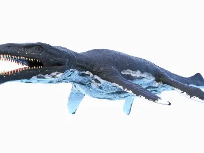 Liopleurodon Animated 3D model