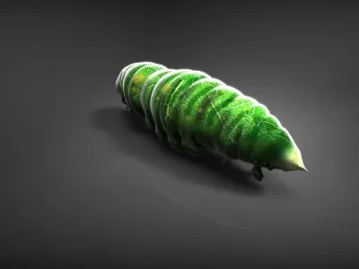 Green larvae 3d model 3D model