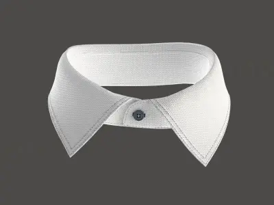Part 4 - 3D Shirt Puzzle Configurator - COLLARS 3D model