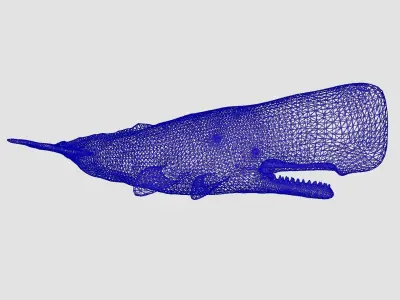 Cachalot  Low-poly 3D model