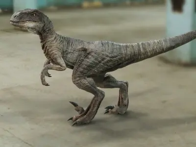 Velociraptor Low-poly 3D model