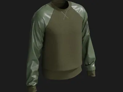 3D Sweater Model with Glossy Sleeves 3D model