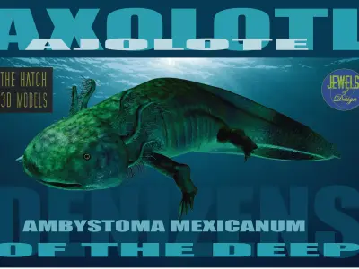 Axolotl 3D model fish Low-poly 3D model