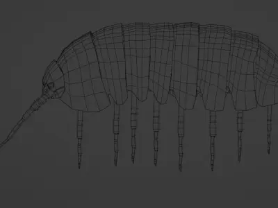 Pillbug or Rolleypolley Low-poly 3D model