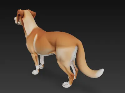 Dog Realistic 3D Model - Low Poly Realistic  Low-poly 3D model