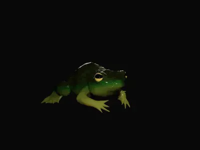 Rigged Croaking Frog Free 3D model