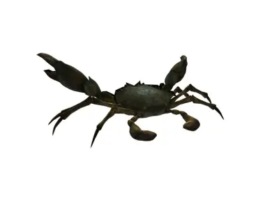 Rigged Crab Model Low-poly 3D model