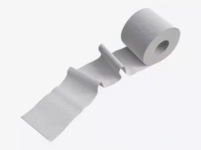 Toilet Paper Roll with Unrolled Part 3D model