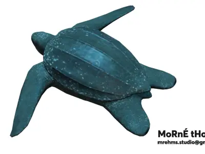Leatherback Turtle Free 3D model