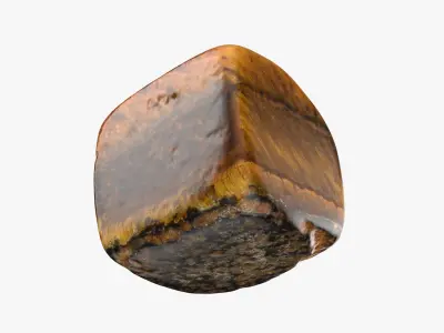 Tigers Eye 04 3D model